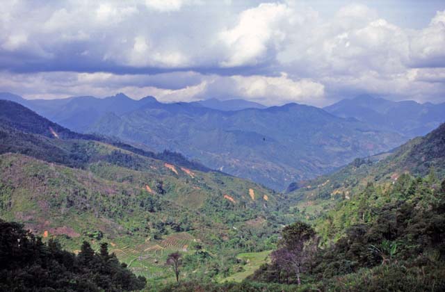 Landscape on the way from Mamasa to Rantepao. Tana Toraja area. Sulawesi,  Indonesia.