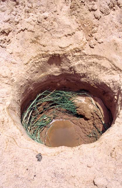 Simple well. Sahara desert. Mali.