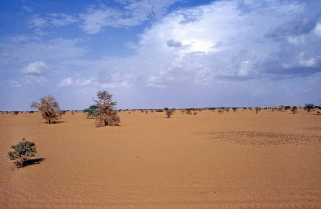 Sahara desert. Mali.