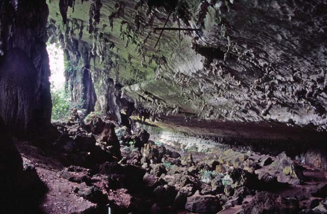 Niah cave. Sarawak,  Malaysia.