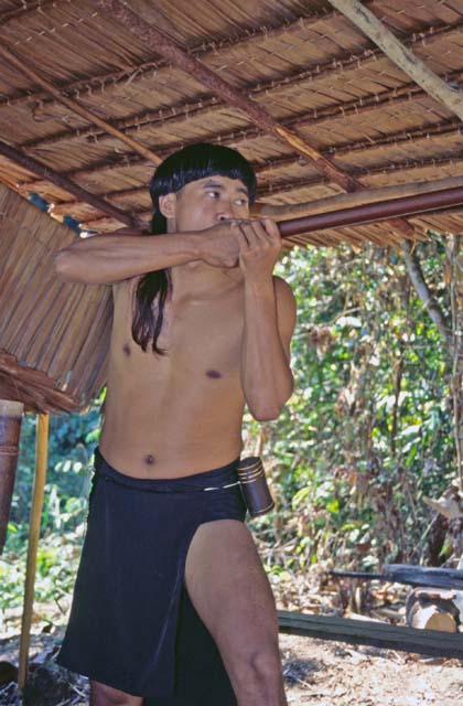 Punan tribe use for hunting blowpipes. Cultural village near Kuching. Sarawak,  Malaysia.