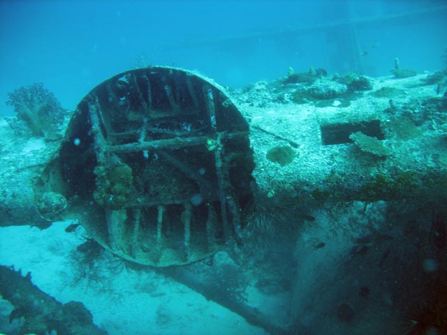 Diving around Biak islands, Catalina wreck dive site. Papua,  Indonesia.