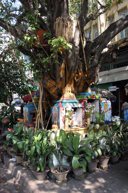 Yangon. Myanmar (Burma).