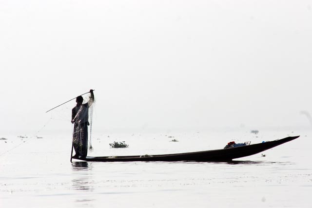Traditional fishing, Inle Lake. Myanmar (Burma).