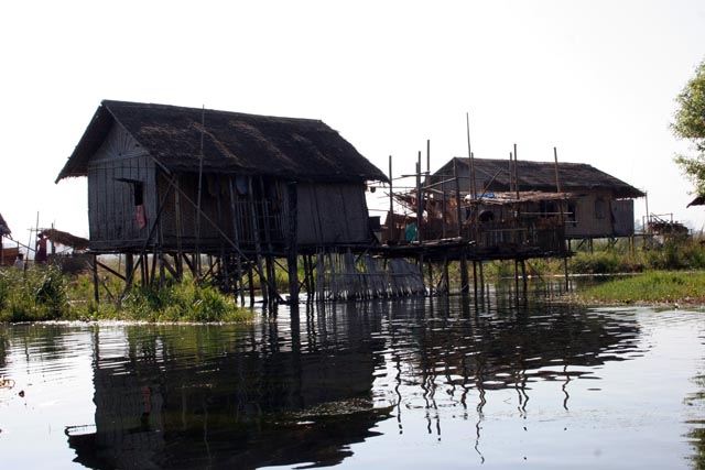 Water life. Inle Lake. Myanmar (Burma).