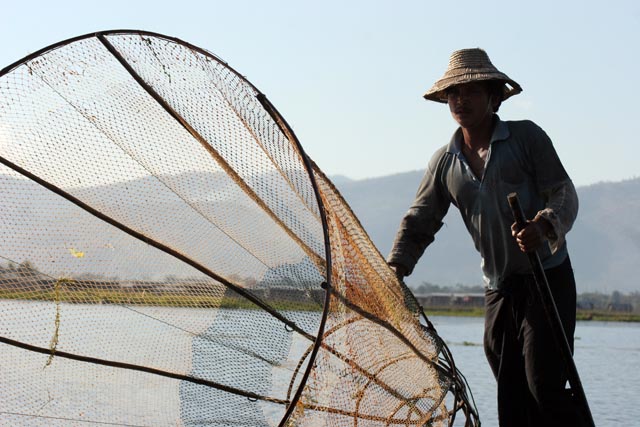 Traditional fishing, Inle Lake. Myanmar (Burma).