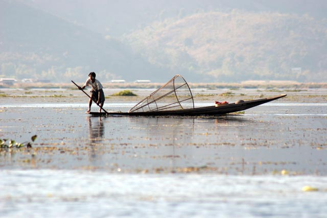 Traditional fishing, Inle Lake. Myanmar (Burma).