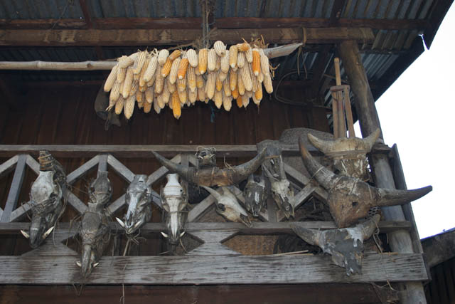 Traditional houses of Chin people are mostly decorated by hunting trophies. Chin State. Myanmar (Burma).
