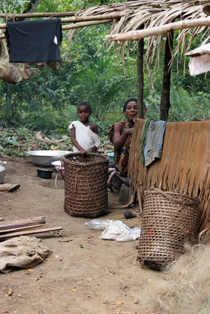 Pygmy village down to the Lobe River. The Pygmy people are forest dwellers, know the forest, its plants and its animals. They live by hunting animals such as antelopes, pigs and monkeys, fishing, and gathering honey, wild yams, berries and other plants. Cameroon.