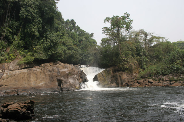 Mana waterfall, Korup National Park. Cameroon.