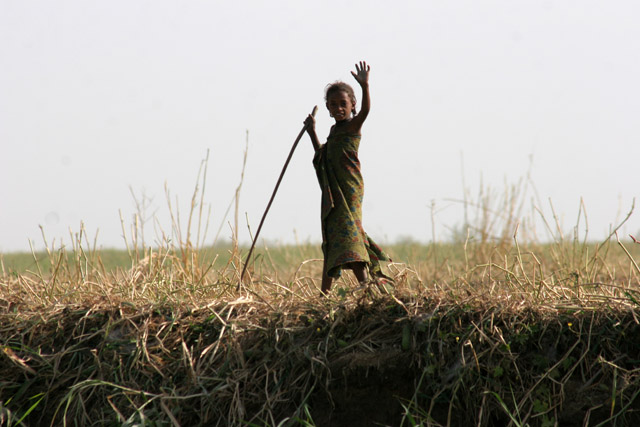 Lake Chad area. Cameroon.