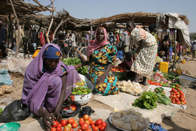 Market at the bank of Chari River. Lake Chad area. Cameroon.