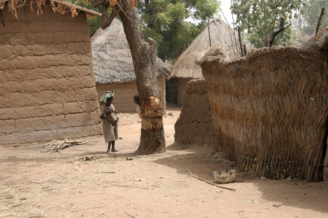 At street at Rey Bouba village. Cameroon.