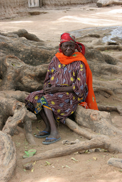 At street at Rey Bouba village. Cameroon.