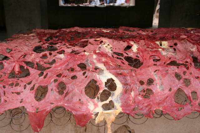 Dry meat. In-Gall town. Niger.