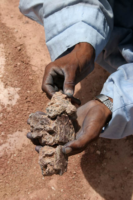 Fossilized bones of crocodile. Dinosaur cemetery near Agadez town. Niger.