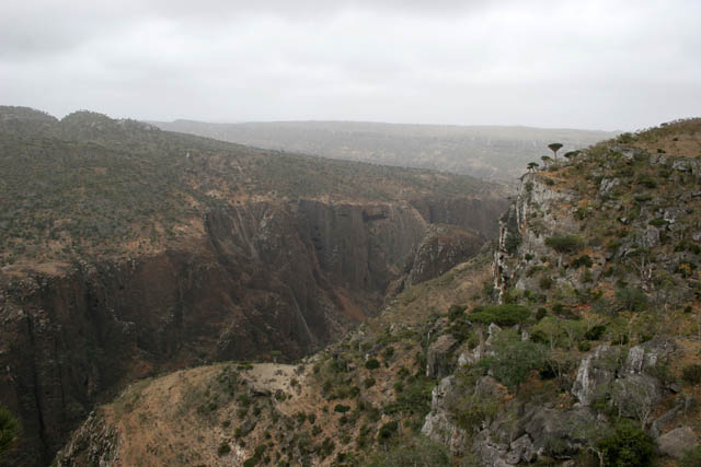 View around Dixam Plateau. Socotra (Suqutra) island. Yemen.