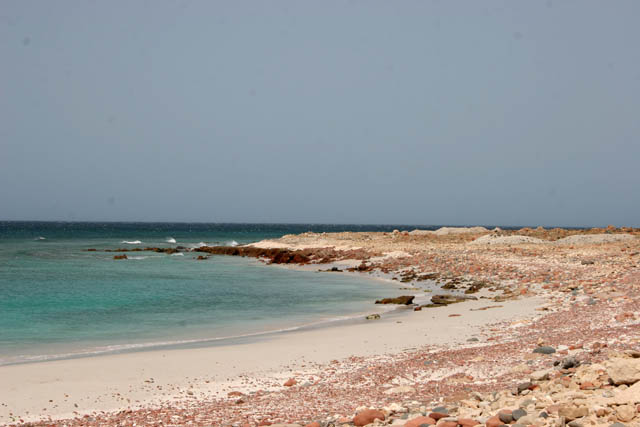 North coast of Socotra (Suqutra) island at Dihamri Marine Protected Area. Yemen.