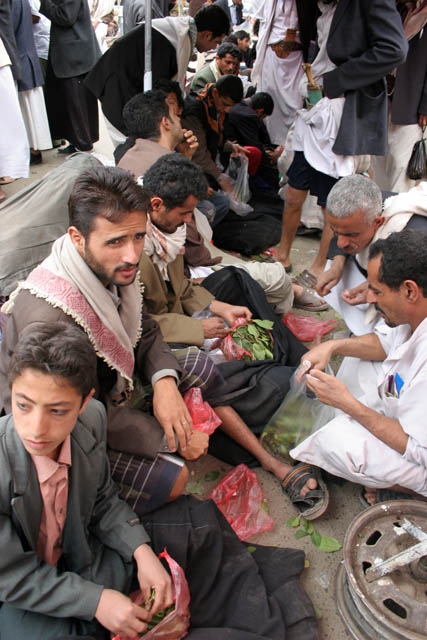 Qat sellers at qat market at Sana city. Yemen.