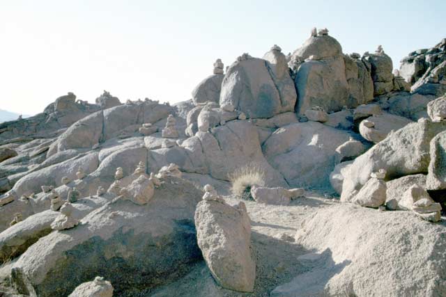 Way to Mt. Sinai. Egypt.