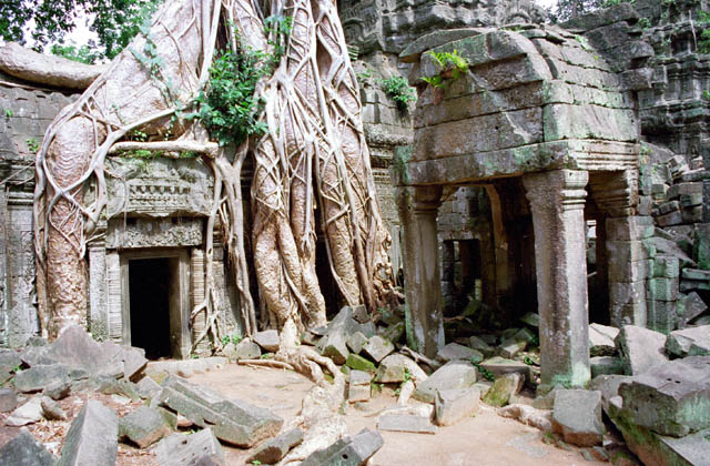 Ta Prohm temple - temple left in the jungle. Angkor Wat temples area. Cambodia.