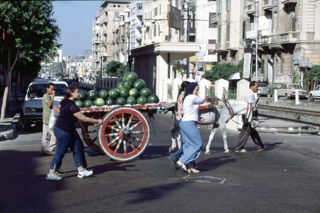 Street in Alexandria. Egypt.