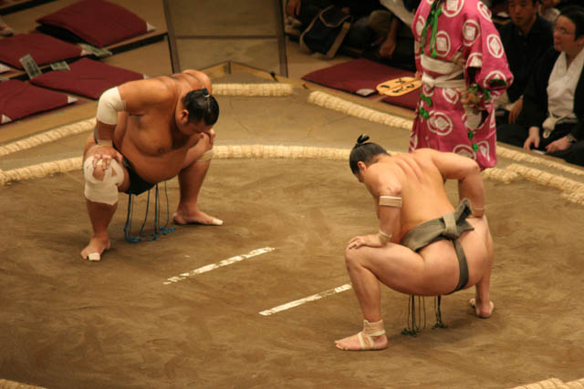 Sumo wrestling at sumo tournament. Tokyo. Japan.