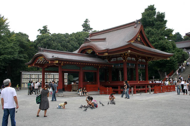 Tsurugaoka Hachiman-gu shrine, Kamakura. Japan.