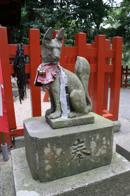 Tsurugaoka Hachiman-gu shrine, Kamakura. Japan.