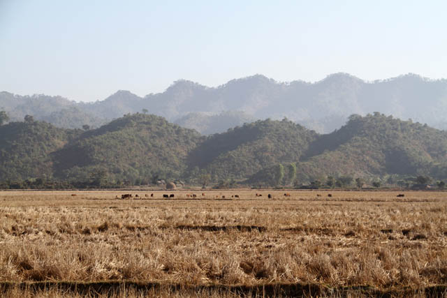 Mrauk U area. Myanmar (Burma).