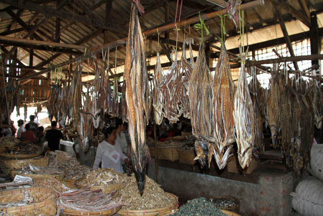 Dry fishes - fish market, Sittwe town. Myanmar (Burma).