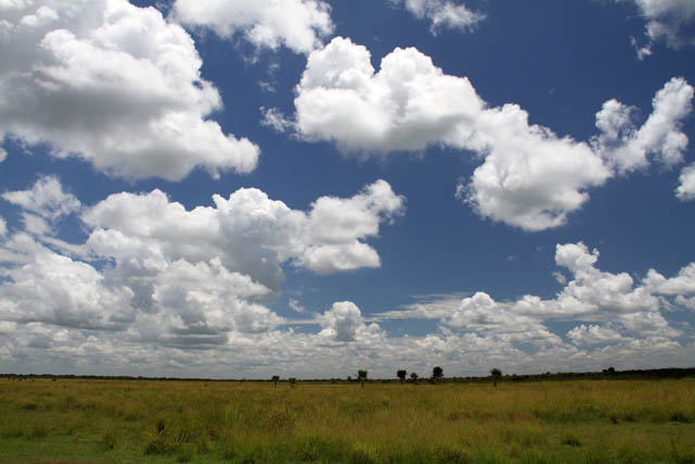 Cuba is mostly flat, area around Las Tunas. Cuba.