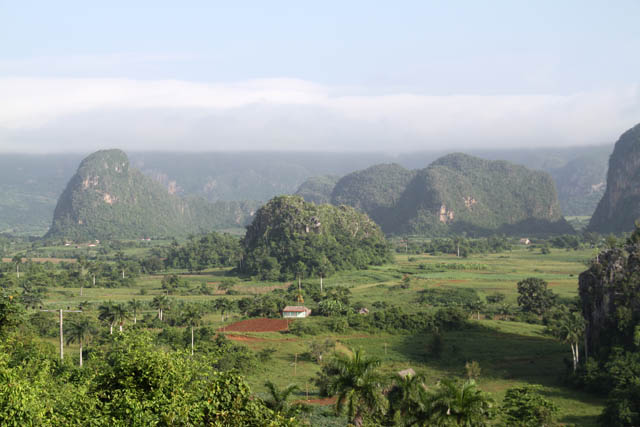 Vinales valley (Valle de Vinales). Cuba.