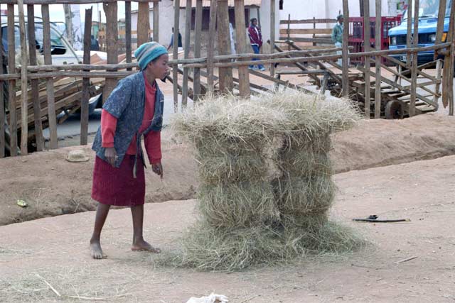 Market at Ivato. Madagascar.