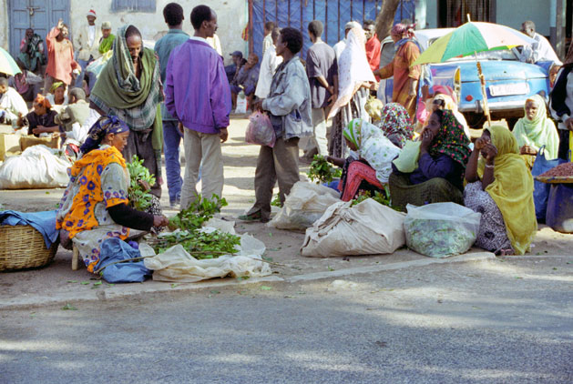 Qat market at Harar. East,  Ethiopia.