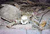 Bones near St. George church. Lalibela. Ethiopia.
