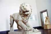 Greek lion. Pergamon museum, Berlin. Germany.