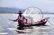 Fisherman at Inle lake. Myanmar (Burma).