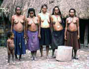 Villagers from Dani tribe. Indonesia.