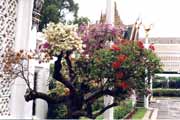 Bangkok. Royal Palace. Thailand.