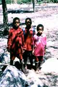 Papua children from Wamerek village. South part of Baliem Valley. Papua,  Indonesia.