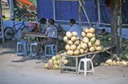 Coconut seller at Ujung Pandang town. Indonesia.