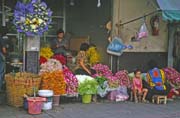 Flower market. Bangkok. Thailand.