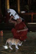 Nga Hpe Chaung (jumping cat) monastery, Inle Lake. Myanmar (Burma).