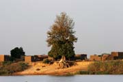 Chari river makes a border between Cameroon and Chad. Lake Chad area. Cameroon.