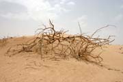 Landscape between Air Mountain and sand Sahara desert. Niger.