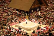 Sumo wrestling at sumo tournament. Tokyo. Japan.