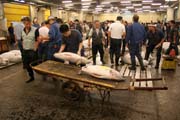 Morning tuna auction - auction is over, sellers are taking their fishes. Tsukiji fish market, Tokyo. Japan.