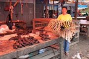 Bats (flying fox), market at Tomoho village. Sulawesi, Indonesia.