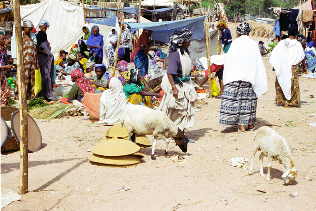 At the market at Dire Dawa. East,  Ethiopia.